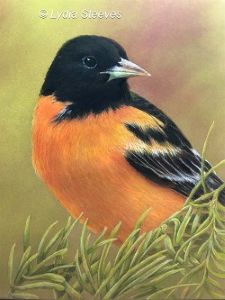 Looking Handsome CP e-Packet